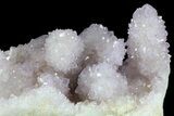 Cactus Quartz (Amethyst) Cluster - South Africa #80009-3